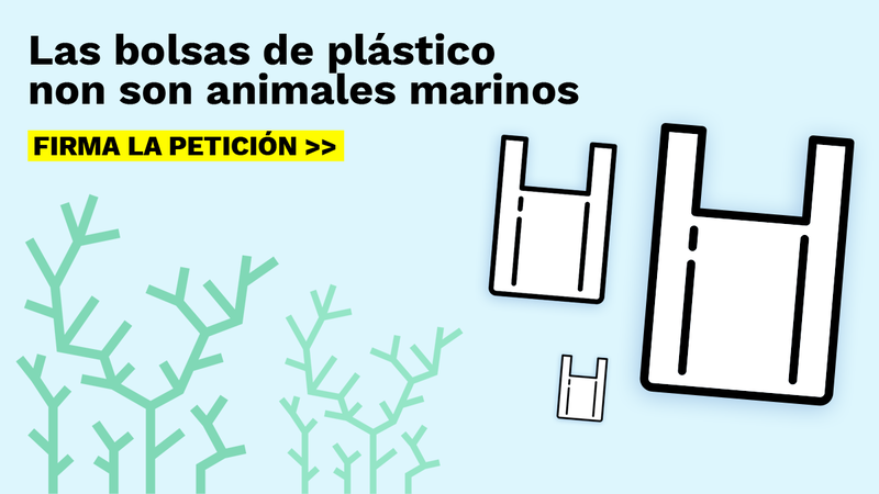 ¿Qué les estamos haciendo?