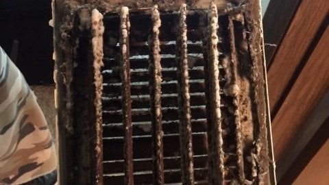 Mold In Bathroom Landlord Responsibility petition · nebraska state senate: mold regulations and a Mold In Bathroom Landlord Responsibility petition · nebraska state senate: mold regulations and a