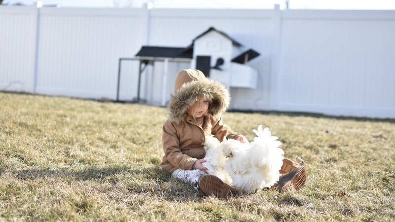 Change ordinances that forbid chickens and rabbits within town limits. (96.01)