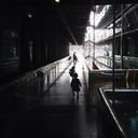 avatar of the starter