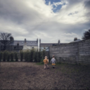 avatar of the starter