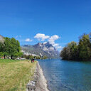 avatar of the starter