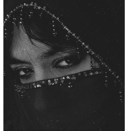 Ban polygamy in India