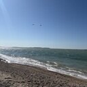 avatar of the starter