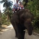 avatar of the starter