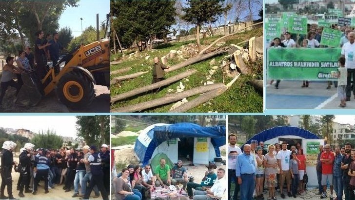 Résultat de recherche d'images pour "albatros halkındır"