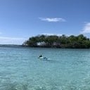 avatar of the starter