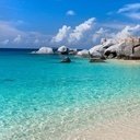 avatar of the starter