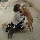 avatar of the starter