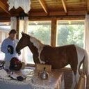 avatar of the starter