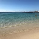 avatar of the starter