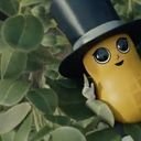 avatar of the starter