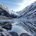 avatar of the starter