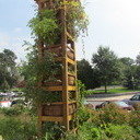 avatar of the starter