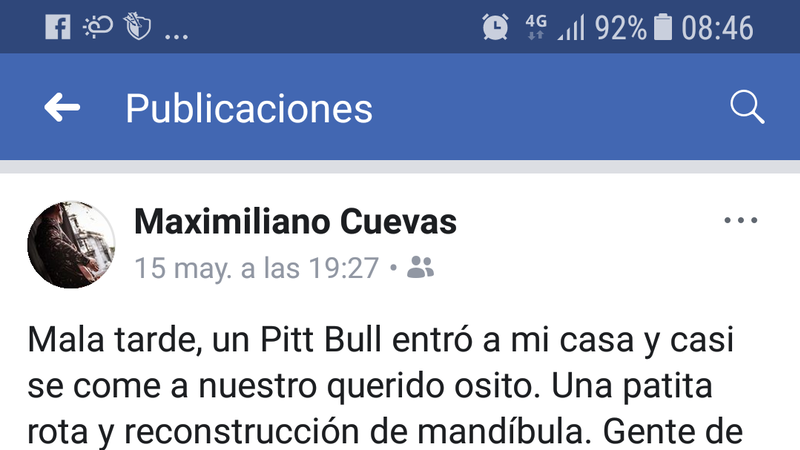 Pitbull irrumpe en domicilio y lástima de gravedad otro perro en Moreno