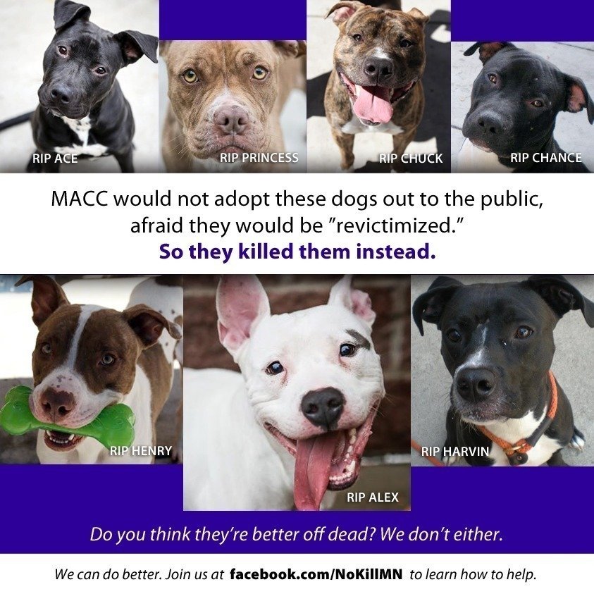 Petition · Minneapolis Minnesota City Council Stop the