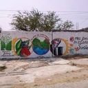 avatar of the starter