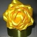 avatar of the starter