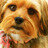 avatar of Diana e