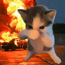 avatar of the starter