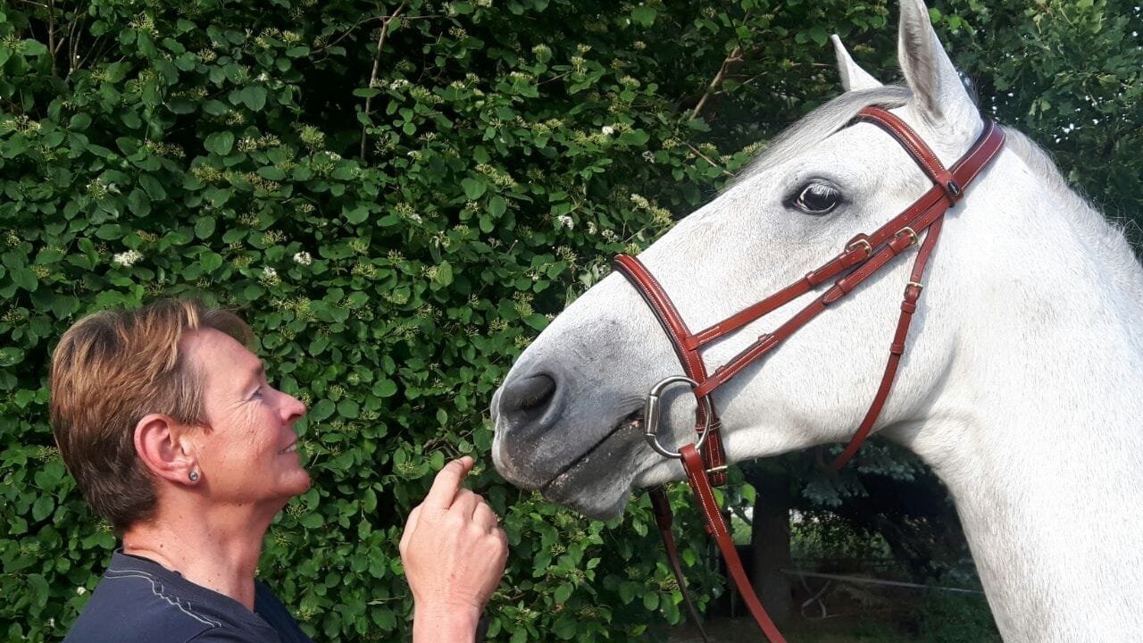 Modern pentathlon without riding!