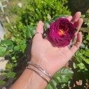 avatar of the starter