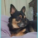 avatar of the starter