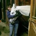 avatar of the starter