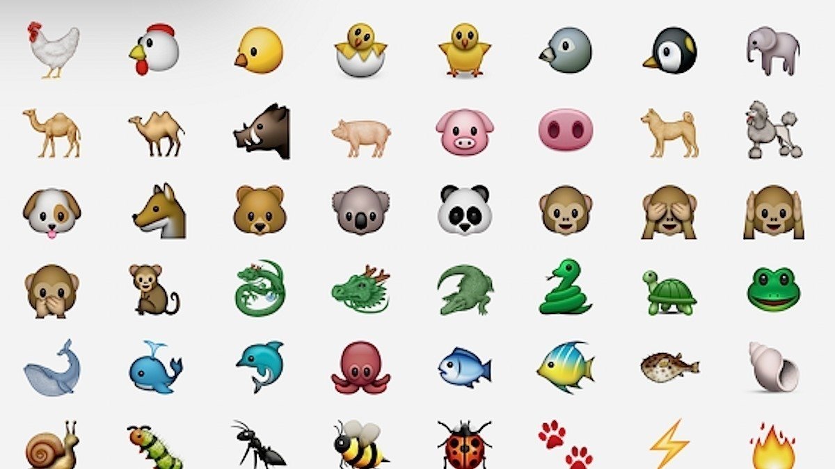 petition there should be a hippo emoji change org thank you follow up letter