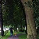 avatar of the starter