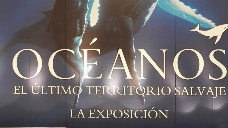 Océanos, el último territorio salvaje. La Exposición.