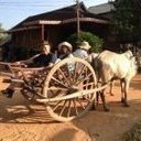 avatar of the starter