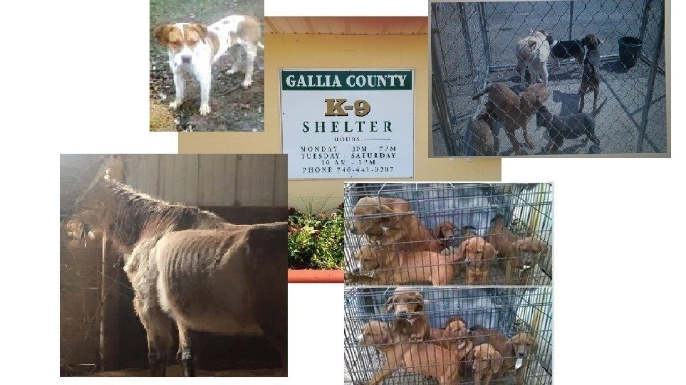 Petition · Gallia County Ohio Commissioner's Get a Humane Agent In