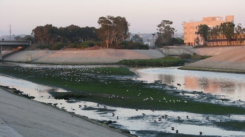Save Bird Island - Stop the Unsafe Bridge Over Centinela Creek