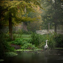 avatar of the starter