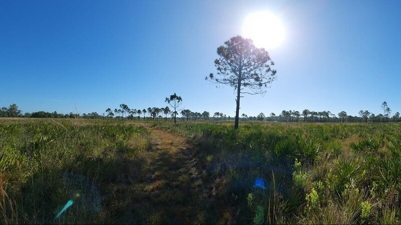 Protect Little Manatee South from development