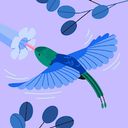 avatar of the starter