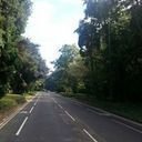 avatar of the starter