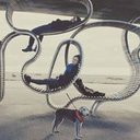 avatar of the starter