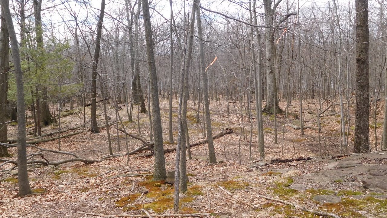 Petition Freeholders Of Passaic County Save Rifle Camp Park Stop 