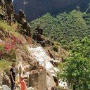 avatar of the starter