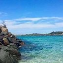 avatar of the starter