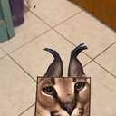 avatar of the starter