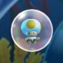 avatar of the starter