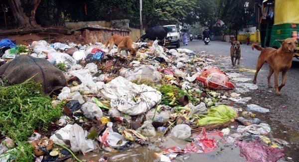 plastic pollution in india pdf