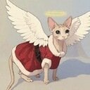 avatar of the starter