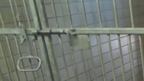 EINSCHLÄFERUNGEN IM TIERHEIM LEIPZIG ANGEZEIGT