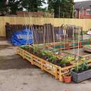 avatar of the starter