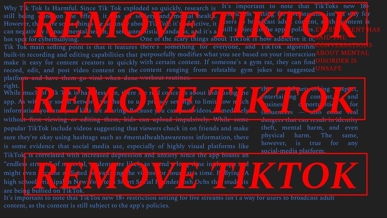 REMOVE TIKTOK ASAP!!! CHILDREN AND FAMILIES ARE IN DANGER!