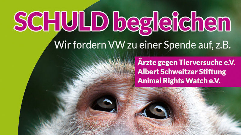 Pressemitteilung
